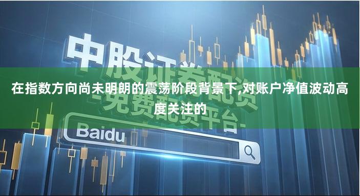 在指数方向尚未明朗的震荡阶段背景下,对账户净值波动高度关注的