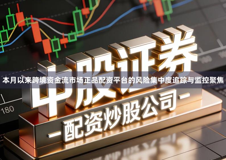 本月以来跨境资金流市场正品配资平台的风险集中度追踪与监控聚焦