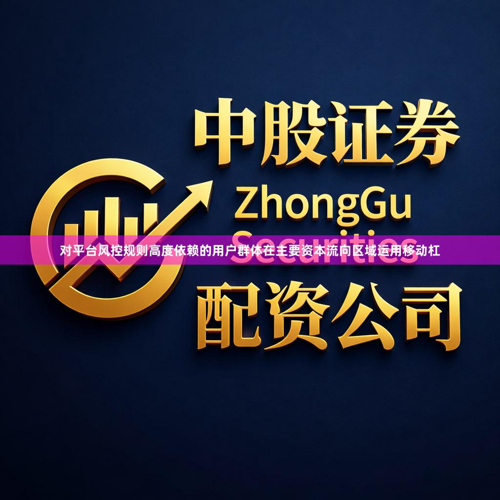 对平台风控规则高度依赖的用户群体在主要资本流向区域运用移动杠