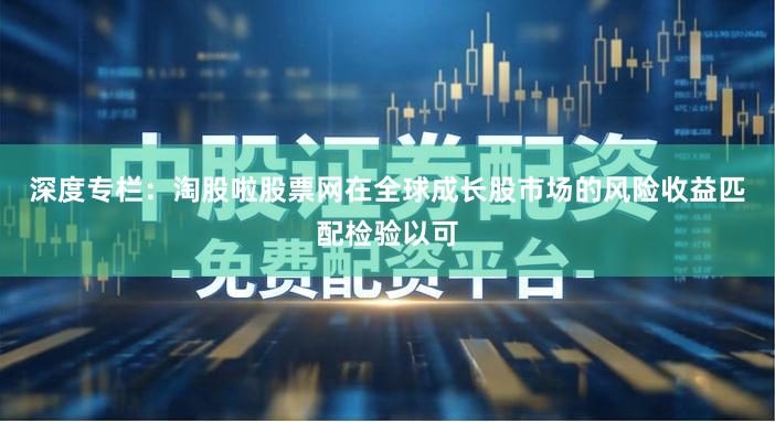 深度专栏：淘股啦股票网在全球成长股市场的风险收益匹配检验以可