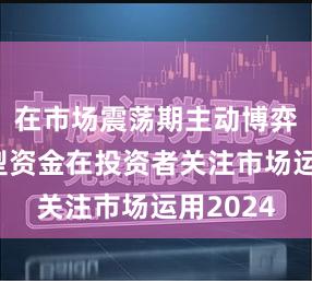 在市场震荡期主动博弈的进攻型资金在投资者关注市场运用2024