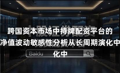 跨国资本市场中持牌配资平台的净值波动敏感性分析从长周期演化中